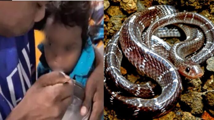 Madhya Pradesh