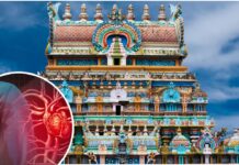 भारत का चमत्कारी मंदिर! जहां सिर्फ एक दर्शन से ठीक हो जाती हैं सभी गंभीर बीमारियां Hridayaleshwar Temple