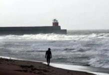 गुजरात सीमा पर BSF की बड़ी कार्रवाई: 15 पाकिस्तानी मछुआरों को पकड़ा, नाव को किया जब्त Gujarat border