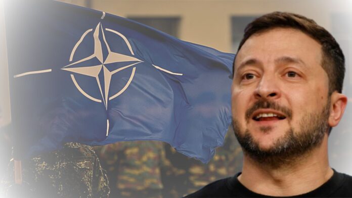 Untitled design - 2025-08-18T094750.599 Ukraine