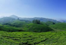 सितंबर में दक्षिण भारत का दीदार करने के लिए 5 बेहतरीन जगहें मुन्नार