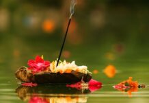 क्यों लगता है पितृ दोष? जानिए कारण, जिससे बिगड़ जाते हैं सारे काम Pitra Dosh