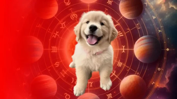 dog astrology