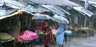 MP Weather: प्रदेश के इन जिलों में भारी बारिश का अलर्ट, इंदौर-उज्जैन में राहत की आस Madhya Pradesh Weather