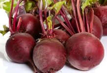 Beetroot Benefits: थुलथुली चर्बी घटाने के लिए चुकंदर है रामबाण, इन 6 तरीकों से करें सेवन