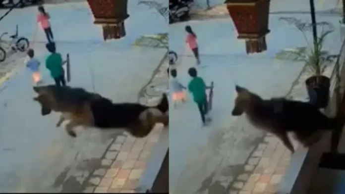 cctv