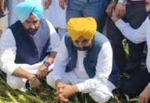 पंजाब: CM मान का ऐलान- विशेष गिरदावरी से हर किसान को नुकसान का मुआवजा, अगली फसल के लिए मुफ्त बीज और खाद Punjab CM