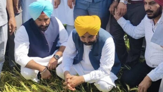 Punjab CM