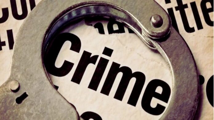 Software Development Business Website in Dark Purple Pink Bold Tech Style - 2025-09-04T123817.453 up crime news