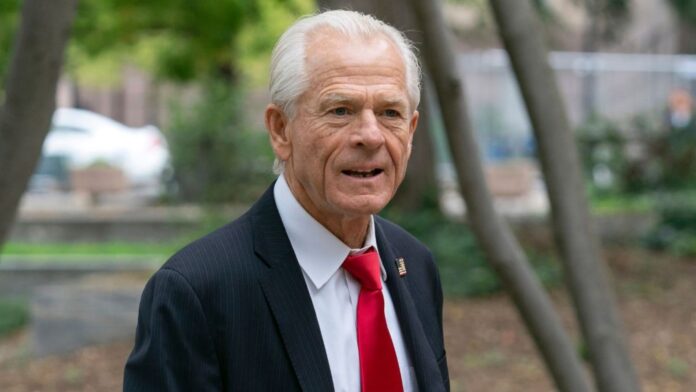 Peter Navarro India statemen