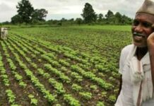 दिवाली से पहले किसानों के खाते में आएगी 21वीं किस्त, ऐसे करें चेक