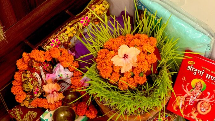 What to do with Jware after Navratri