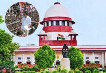 Karur Stampede : करूर भगदड़ मामले में SC ने एक्टर विजय की रैली मामले को CBI को सौंपा, पूर्व जज रस्तोगी करेंगे निगरानी Supreme Court on Karur Incident