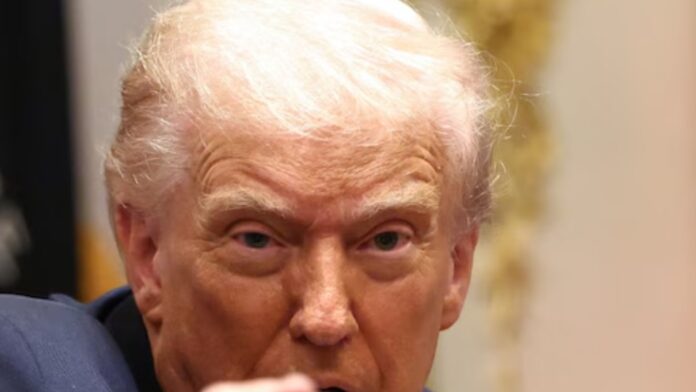 Untitled design - 2025-10-24T064755.569