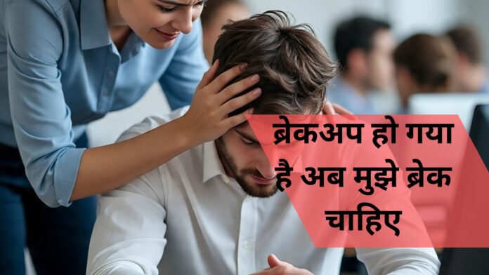 Haryana News Haryana News