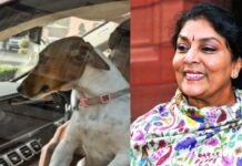 डॉगी के साथ संसद पहुंचीं रेणुका चौधरी, विवादित बयान से गर्माई राजनीति Renuka Chowdhary
