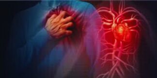 जहरीली हवा का दिल पर सीधा वार: हार्ट में ब्लड क्लॉट बनने का खतरा बढ़ा, ऐसे संकेत दिखें तो अलर्ट हो जाएं Toxic air