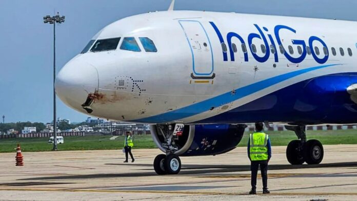 indigo india have most failure airlines history know all details