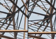 ग्रेटर नोएडा में प्रेम प्रसंग का हाई वोल्टेज मामला, शादी से इंकार पर टावर पर चढ़ा युवक Noida News