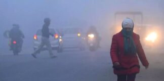 उत्तर भारत में अभी नहीं मिलेगी शीत लहर और कोहरे से राहत, मौसम विभाग ने की ये भविष्यवाणी