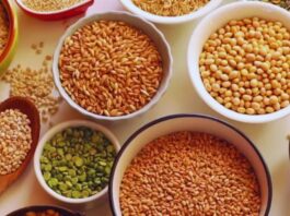 अमेरिकी बाजार खुला, लेकिन गेहूं-चावल-दूध बाहर! भारत-US इंटरिम ट्रेड समझौते में कृषि संवेदनशील उत्पाद सुरक्षित India-US