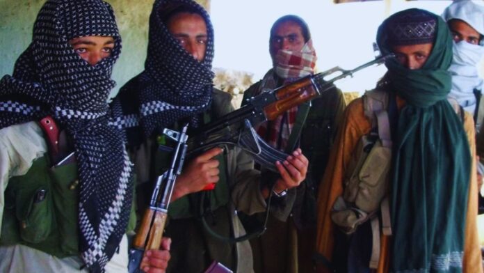 WhatsApp Image 2026-03-28 at 3.43.19 PM