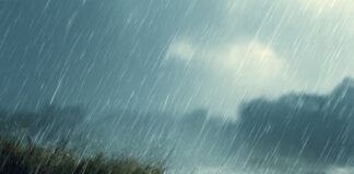 बिहार के कई जिलों में आंधी-तूफान का खतरा, मौसम विभाग ने जारी किया ऑरेंज अलर्ट Threat of Storms and Gusty Winds in Several Districts of Bihar Meteorological Department Issues Orange Alert