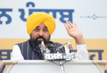 ‘आप’ सरकार ने पंजाब के किसानों के लिए गांवों को तारों और खंभों से मुक्त करने का निभाया वादा AAP government has fulfilled its promise to the farmers of Punjab to rid villages of wires and poles