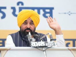 ‘आप’ सरकार ने पंजाब के किसानों के लिए गांवों को तारों और खंभों से मुक्त करने का निभाया वादा AAP government has fulfilled its promise to the farmers of Punjab to rid villages of wires and poles