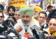 अकाली दल ने मनगढ़ंत सामग्री के जरिए मुख्यमंत्री भगवंत सिंह मान की छवि को खराब करने की साजिश रची है: हरपाल सिंह चीमा