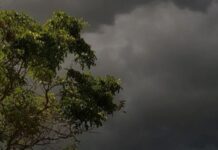 बिहार तक पहुंचा मॉनसून, उत्तर भारत में बारिश का दौर शुरू होने के आसार