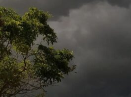 बिहार तक पहुंचा मॉनसून, उत्तर भारत में बारिश का दौर शुरू होने के आसार