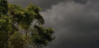 बिहार तक पहुंचा मॉनसून, उत्तर भारत में बारिश का दौर शुरू होने के आसार