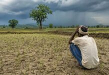 झारखंड में मानसून की धीमी रफ्तार से बढ़ी किसानों की चिंता, खरीफ फसल पर मंडराया संकट Slow pace of monsoon in Jharkhand raises farmers' concerns