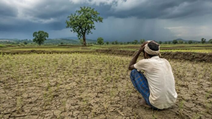 Slow pace of monsoon in Jharkhand raises farmers' concerns
