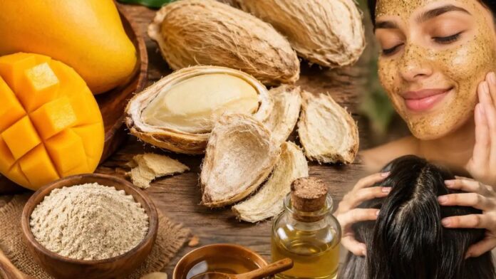 mango seeds can be very beneficial for health and beauty know how