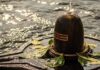 Sawan 2026 Date: सावन की शुरुआत कब होगी, कितने होंगे सोमवार? जानें व्रत, पूजा और धार्मिक महत्व Sawan 2026