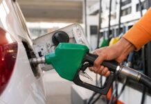 Petrol Diesel Price Today: क्रूड ऑयल में उछाल, क्या बढ़े पेट्रोल-डीजल के दाम? चेक करें लेटेस्ट रेट Petrol Diesel Price Today