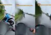 ‘आज नहीं’ मौत को मात देकर लौटा बाइकर, वायरल VIDEO देख दहल जाएंगे Biker cheats death and returns viral video will make your hair stand on end