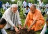 ‘एक पेड़ मां के नाम’ अभियान में यूपी ने रचा इतिहास, PM मोदी ने ‘मन की बात’ में की तारीफ UP Tree Plantation