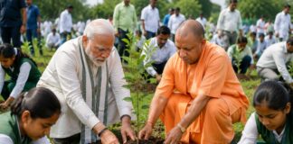 ‘एक पेड़ मां के नाम’ अभियान में यूपी ने रचा इतिहास, PM मोदी ने ‘मन की बात’ में की तारीफ UP Tree Plantation