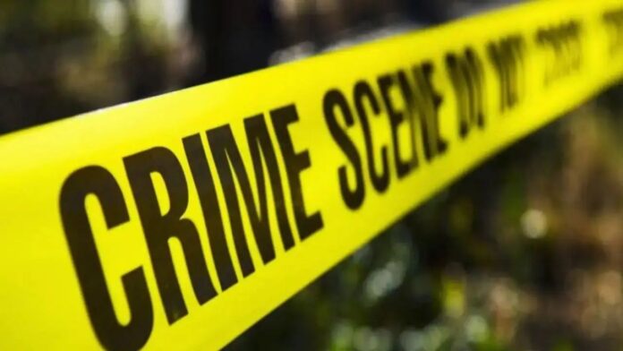 Delhi Mother Murder Delhi Mother Murder