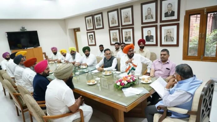 AAP AAP