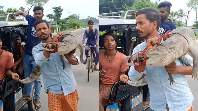 Bihar Man Carries 4-Foot Crocodile on His Shoulder Video Viral Bihar Man Carries 4-Foot Crocodile on His Shoulder Video Viral