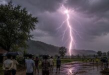 आकाशीय बिजली ने मचाई तबाही, झारखंड के कई जिलों में 14 लोगों की दर्दनाक मौत Jharkhand Lightning Strikes