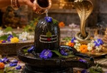 सावन सोमवार और नाग पंचमी एक साथ, जानें कौन-से फूल चढ़ाने से मिलेगा विशेष आशीर्वाद nag panchami upay