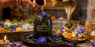 सावन सोमवार और नाग पंचमी एक साथ, जानें कौन-से फूल चढ़ाने से मिलेगा विशेष आशीर्वाद nag panchami upay