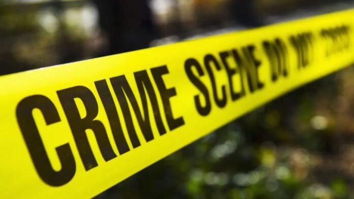 Rajasthan Murder,Domestic Dispute,Grandfather Killing Rajasthan Murder,Domestic Dispute,Grandfather Killing