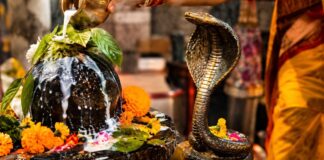 Nag Panchami 2026: 17 अगस्त को मनाई जाएगी नाग पंचमी, जानें पूजा का शुभ मुहूर्त Nag panchami kab hai 2026