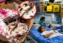 केक में मिली मरी छिपकली, 7 बच्चों समेत 11 की तबीयत बिगड़ी; स्टोर्स की जांच तेज Dead lizard found in birthday cake 11 people hospitalized